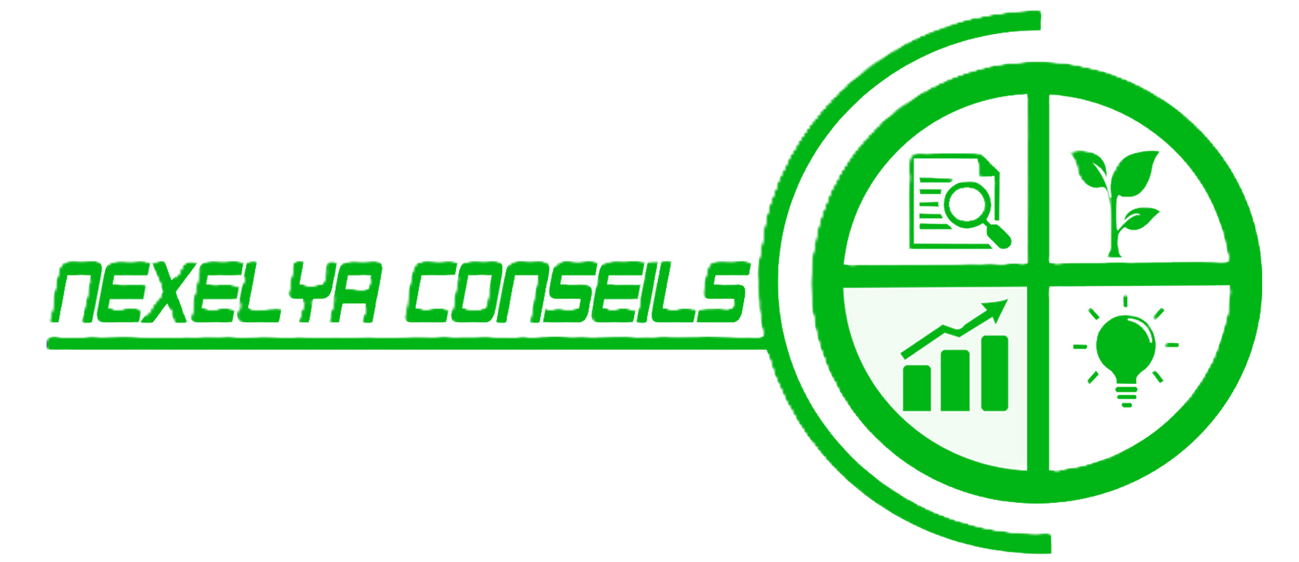 Nexelya Conseils